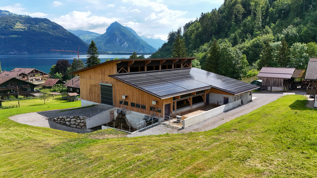 peter_holzbau_holzbau-Zimmerei-11