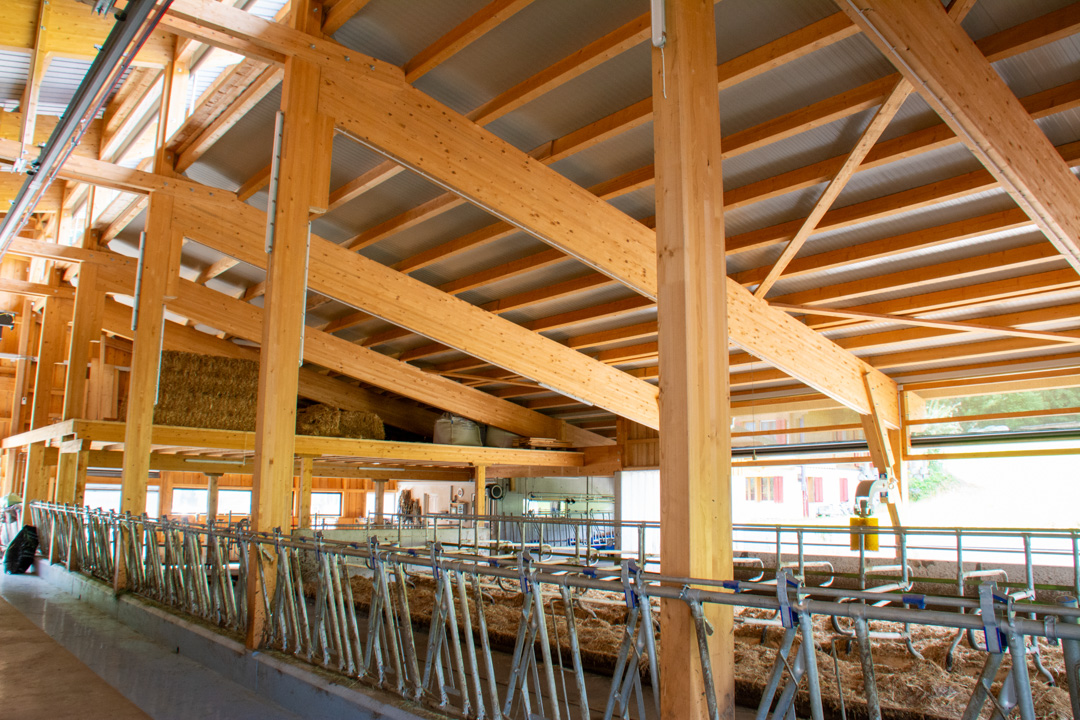 peter_holzbau_holzbau-Zimmerei-2