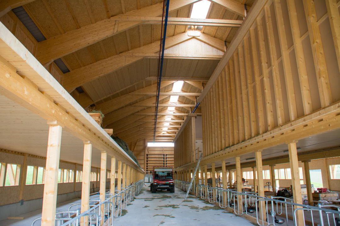 peter_holzbau_holzbau-Zimmerei-32