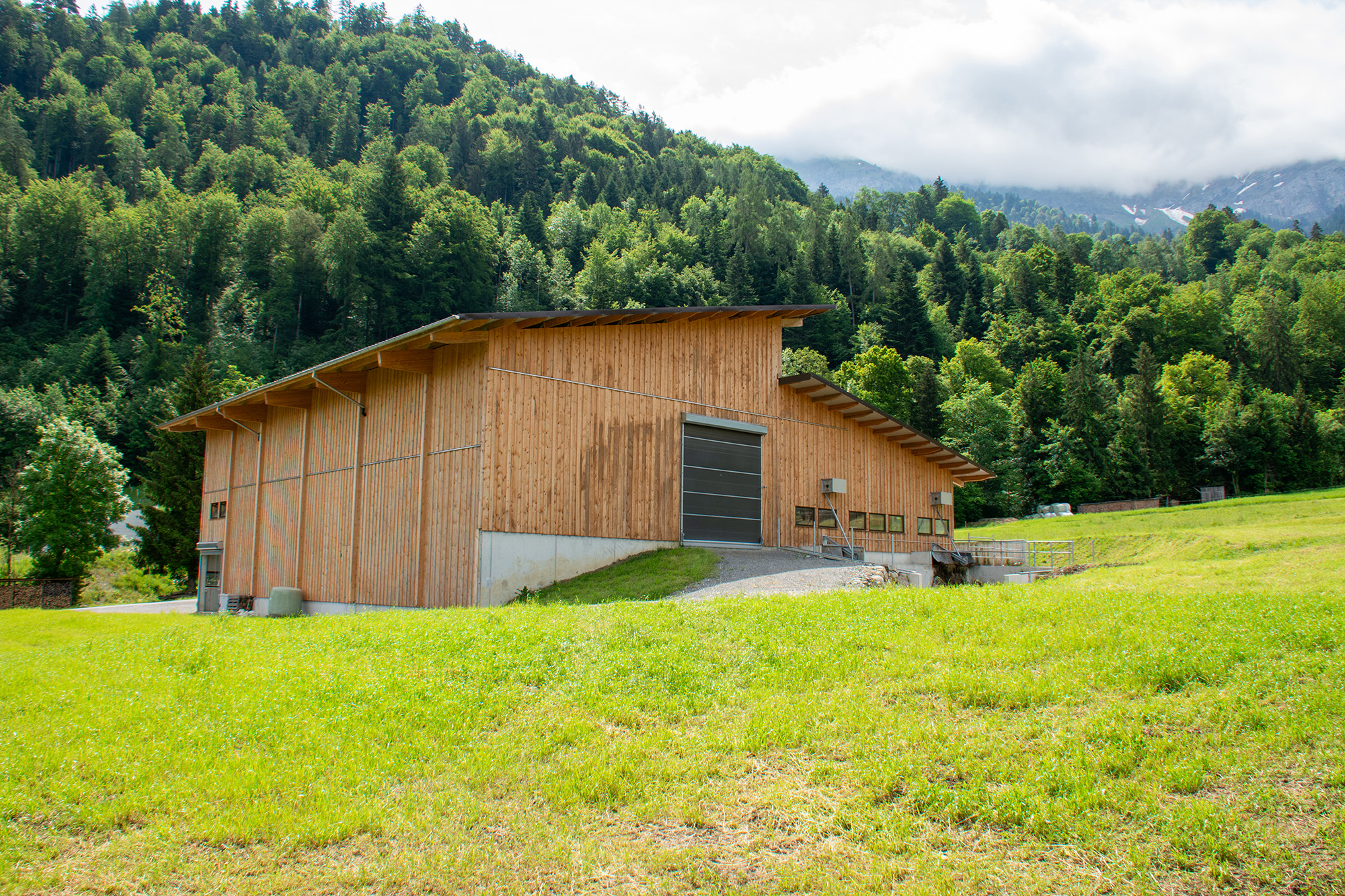 peter_holzbau_holzbau-Zimmerei-6